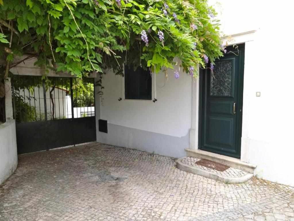 Casa dos Pocinhos Férias tranquilas no campo Torres Novas Extérieur photo